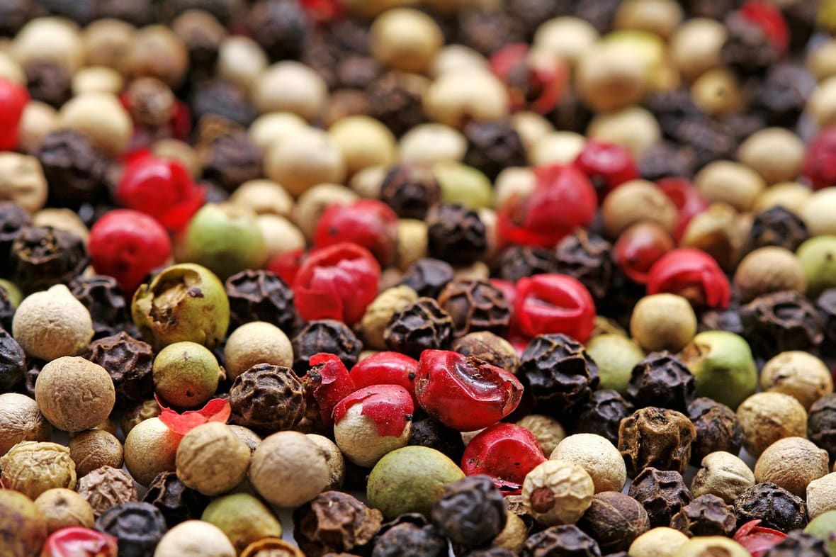 Les faux poivres et les baies aromatiques.*ATTR