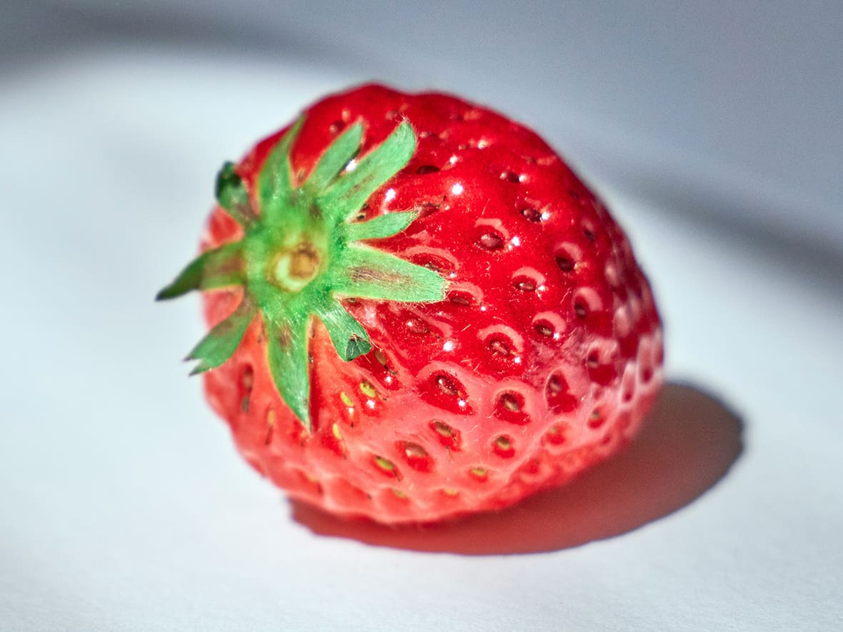 La fraise moderne.*ATTR