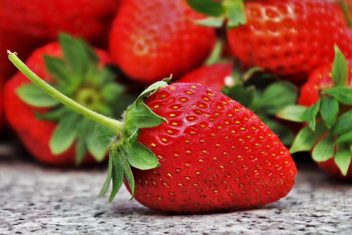 La fraise.*ATTR