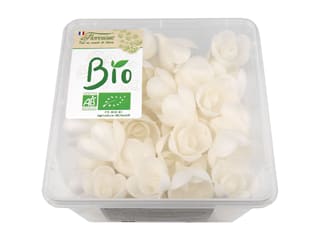 Rose Bio piccoli bianchi (x 72)