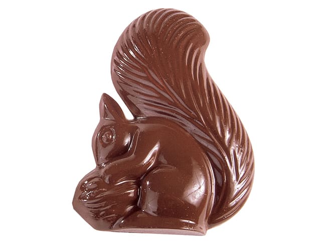 Chocolate Mould - Squirrel