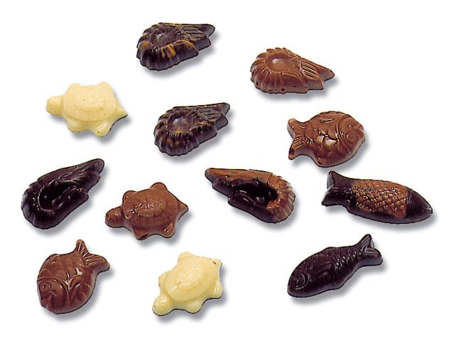 Tritan Chocolate Mould - 35 Fish & Seashell Shapes - 27,5 x 17,5cm