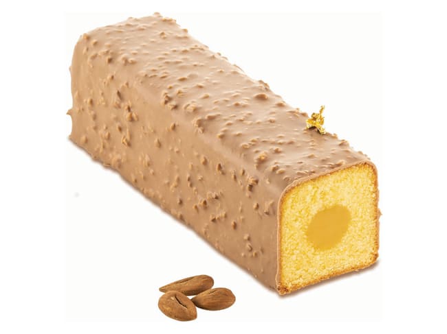 Kyoto Cake Mould - With tube insert - 23 x 6 x 6cm - Silikomart