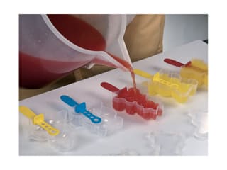 Frozen Lollipo moulds