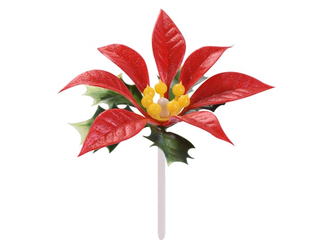 Poinsettia Flowers - Christmas cake toppers - 6 pieces - Modécor