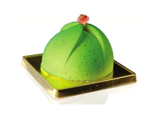 Pavoflex Non-Stick Silicone Mould - Mini Domes