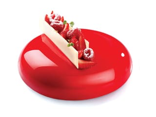 Pavoni Planet Silicone Mould