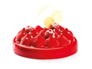 Pavoni Puffy Silicone Mould