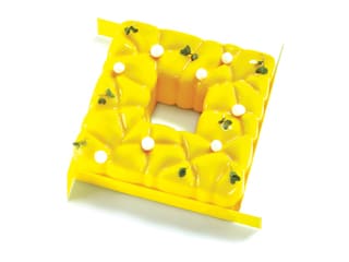 Pavoni Square Silicone Mould