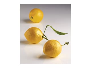 Lemon Individual Entremets Silicone Mould