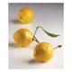 Lemon Individual Entremets Silicone Mould - Cédric Grolet Line - 30 x 17.5cm - Pavoni