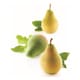 Fruit Silicone Mould (Pear/Fig) - 40 x 10cm - Silikomart