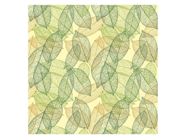 Chocolate transfer sheet - Green leaves - Pack of 5 sheets - Valrhona