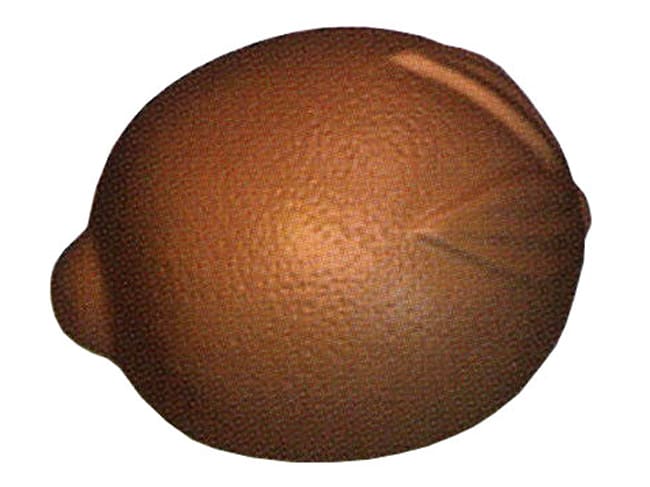 Moule Chocolat - citron