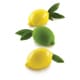 Moule silicone - 4 citrons - 40 x 10 cm - Silikomart