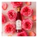 Sirop rose - 25 cl - Terroirs du Liban