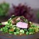 L'agneau de lait des Pyrénées au Vadoovan, légumes verts de printemps