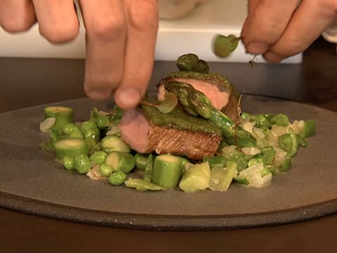 L'agneau de lait des Pyrénées au Vadoovan, légumes verts de printemps - 87