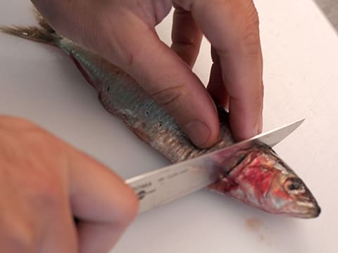 Beignets de sardines - 14
