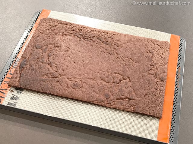 Biscuit au chocolat