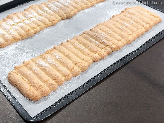 Biscuit à la cuillère (en bande)