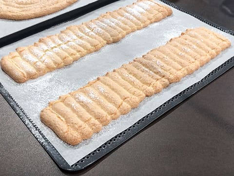 Biscuit à la cuillère (en bande) - 28