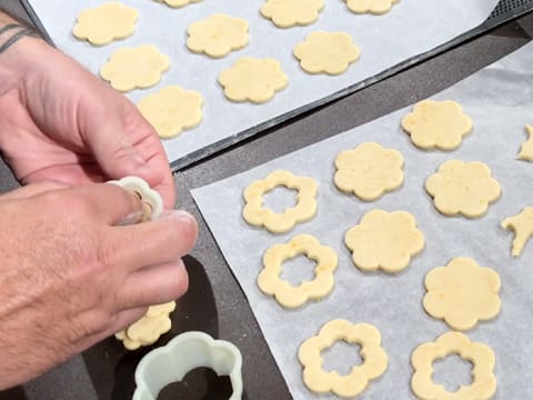 Biscuits fourrés aux abricots - 24