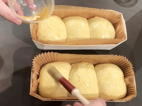 Les boules de pâte à brioche contenues dans les deux barquettes de cuisson en bois, ont doublé de volume et sont dorées avec une dorure et un pinceau pâtissier