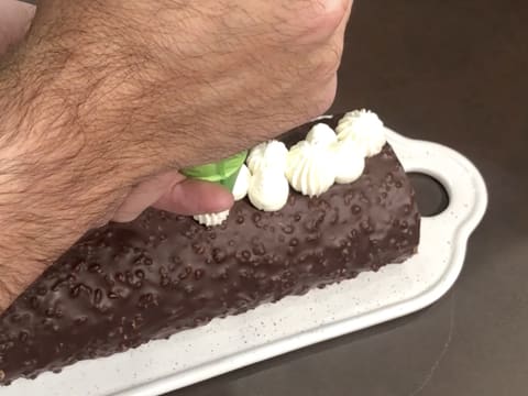 Bûche chocolat praliné mascarpone - 99