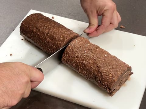 Bûche de Noël chocolat/praliné - 95