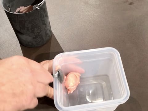 Une cuillère à soupe de sorbet litchi est déposé dans un bac alimentaire