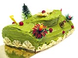 B&ucirc;che de No&euml;l framboise-pistache