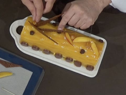 Bûche pabana chocolat et noisette - 148