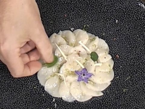 Carpaccio de coquilles Saint-Jacques, citron caviar et fleur de yucca - 35