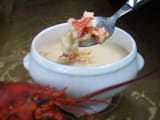 Consomm&eacute; de homard au lait de coco