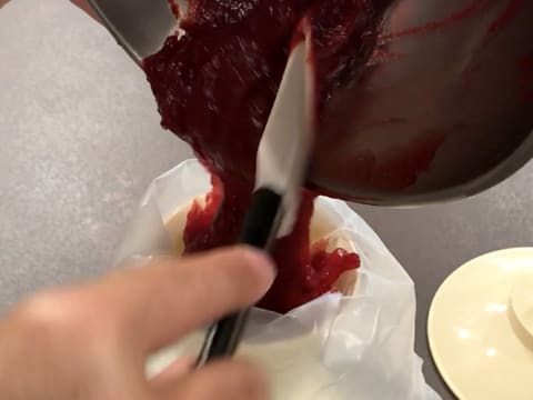 Dacquoise fraise/framboise - 66