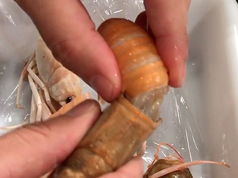 Décortiquer à cru des langoustines - 15