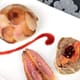 Dodine de foie gras et canard en aiguillettes