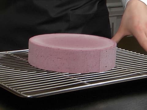 Entremets printanier à la myrtille - 101