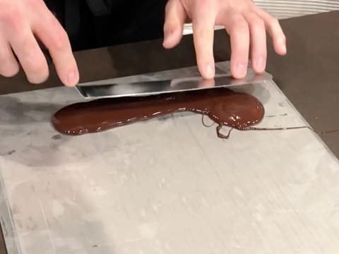Entremets chocolat praliné agrumes - 83