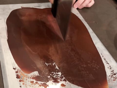 Entremets chocolat praliné agrumes - 85