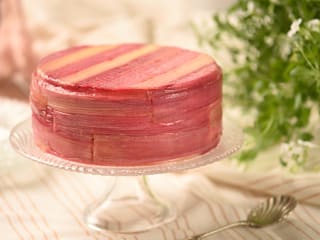 Entremets vanille & rhubarbe