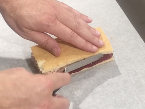 Entremets esquimau XXL cerise - 66