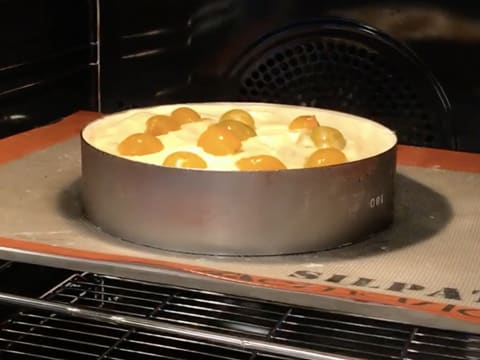 Flan pâtissier à la mirabelle - 32