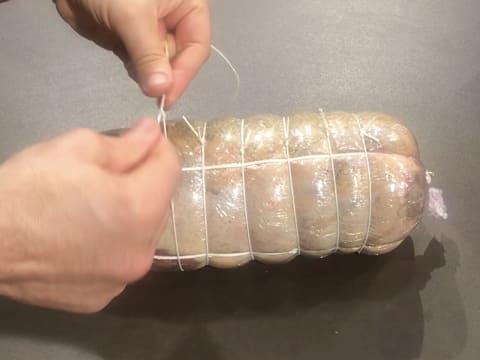 Galantine de canette au foie gras et champignons - 103