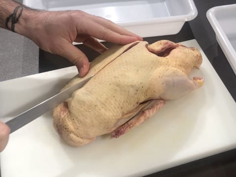 Galantine de canette au foie gras et champignons - 15