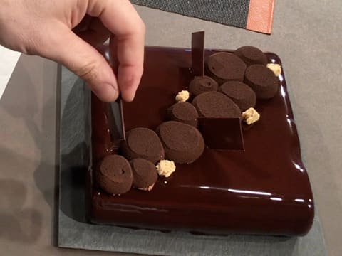 Entremets au chocolat Jupiter - 165