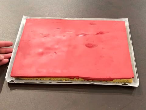Gâteau roulé aux framboises - 69