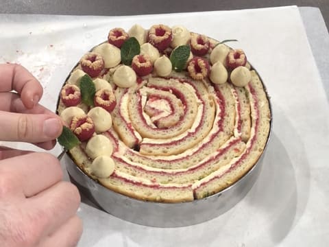 Feuilles de menthe sur gâteau roulé