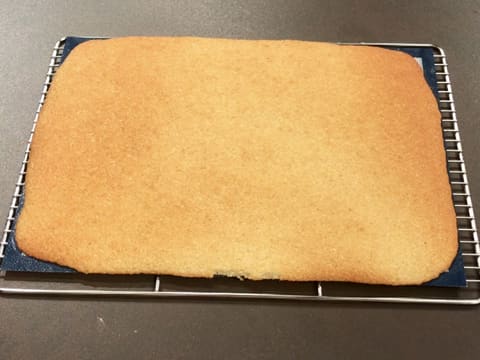 Le biscuit est posé sur le tapis silicone, lui-même posé sur une grille